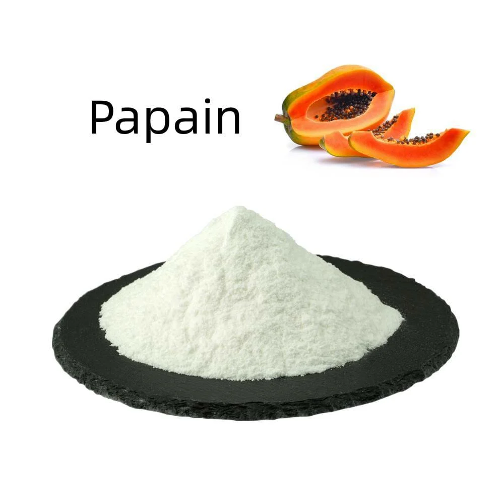 Papain Enzyme Powder