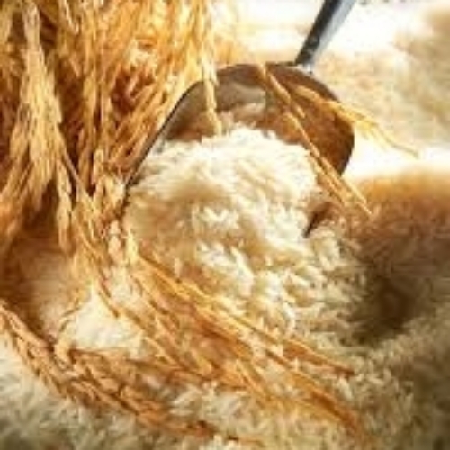 Basmati Rice
