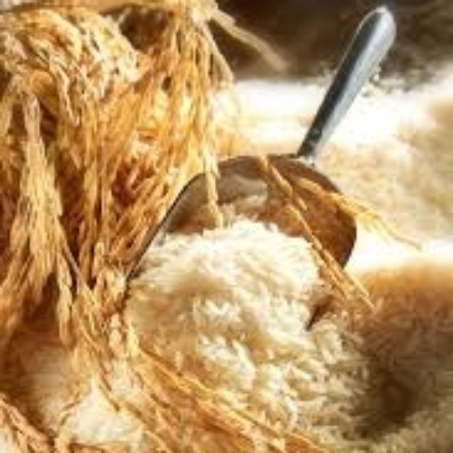 Organic Basmati Rice