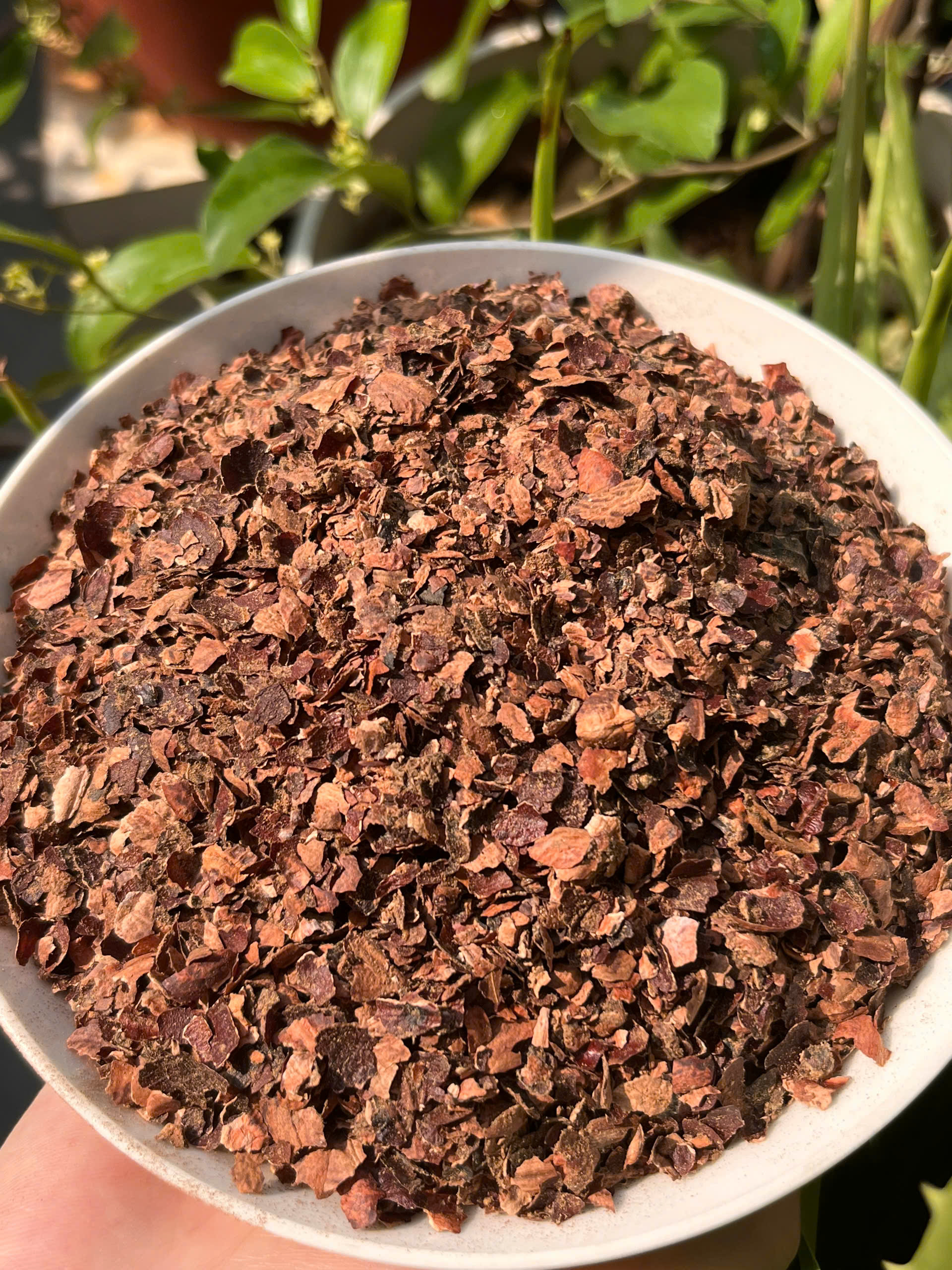 Cashew Husk Flakes For Tanning - Application: Fertilizer