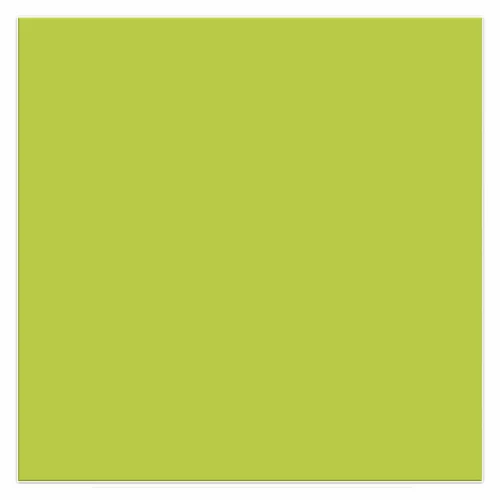 Grape Green Acrylic Solid Surface Sheet 6mm