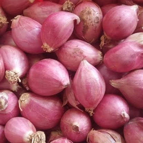 Small Onion