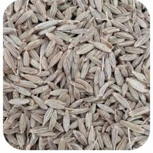 Cumin Seeds