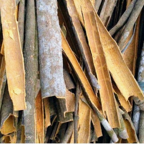 Cinnamon Stick