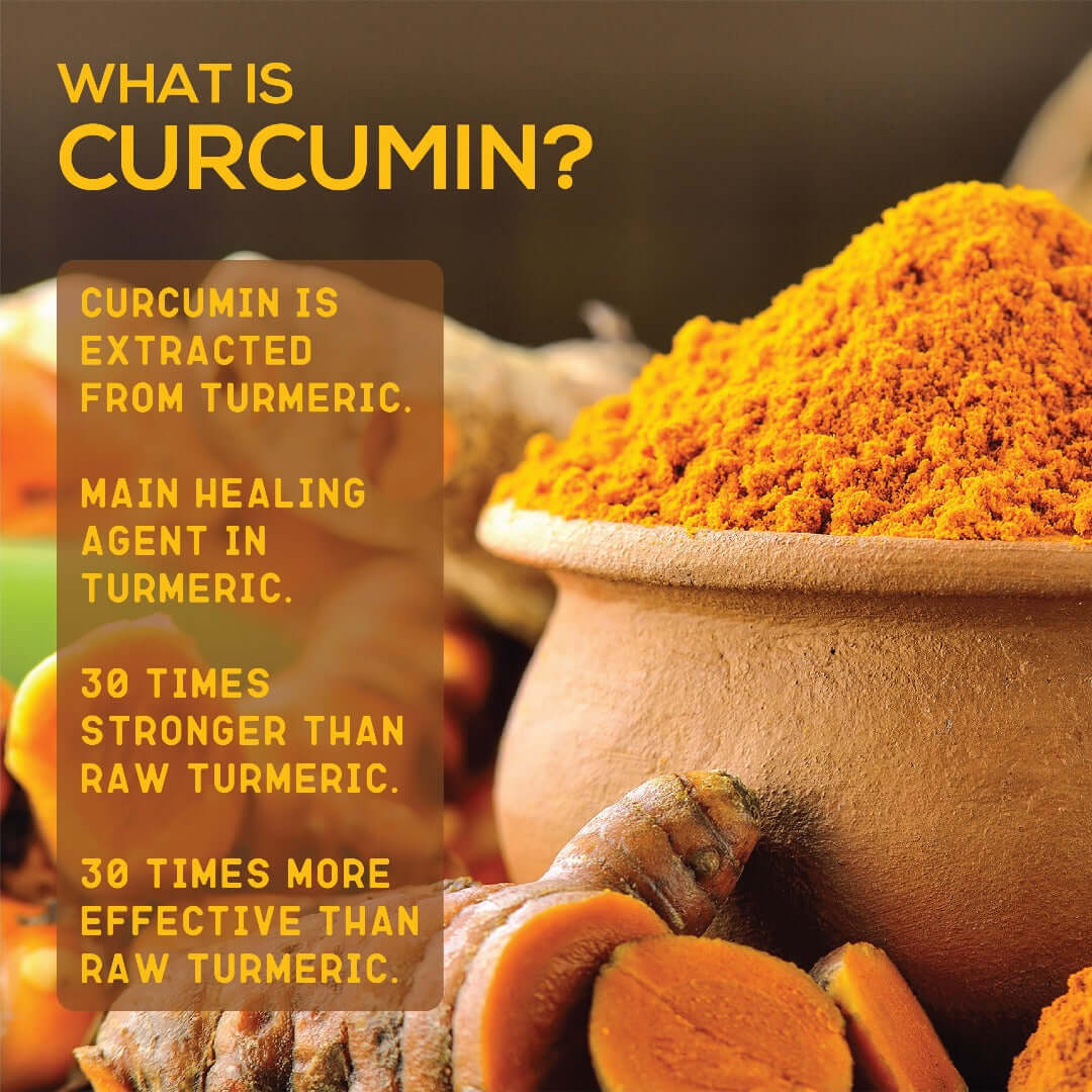 Curcumin Powder Extract 95%