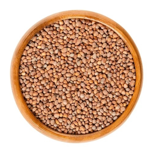White Radish Seeds