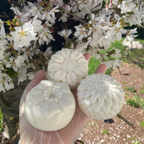 Natural Soap