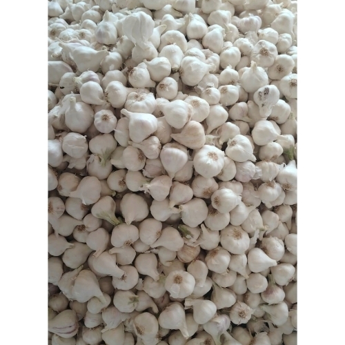 4 A Garlic