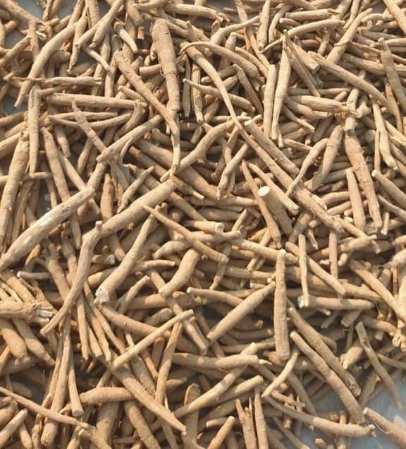 Ashwagandha Root