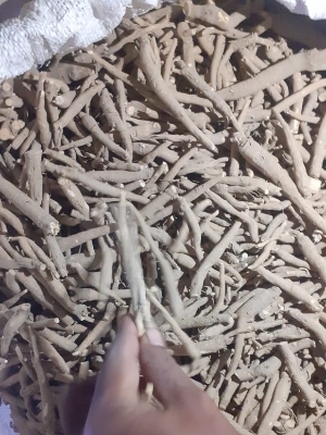 Natural Ashwagandha Roots - Age Group: For Adults