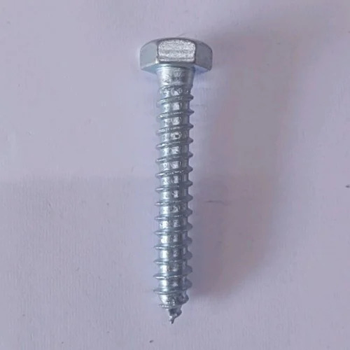 Stainless Steel Lag Screws