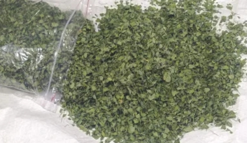 Kasoori Methi By Yes Spice India