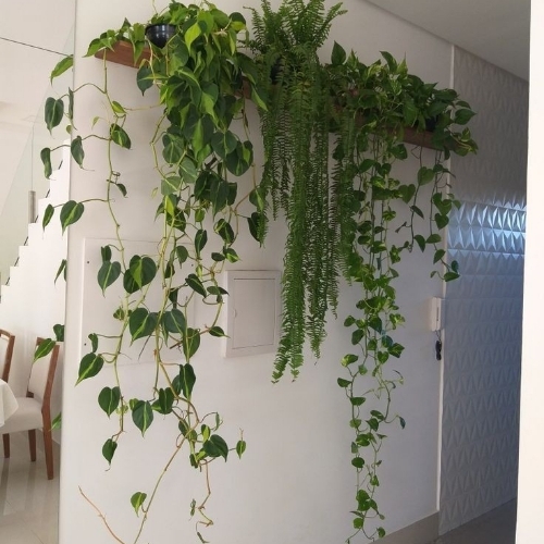 Artificial Plants