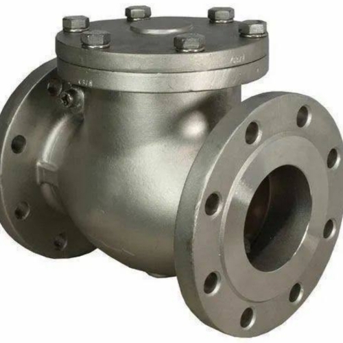 Cs Swing Check Valve 