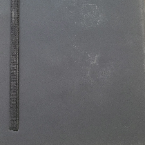 Dairy book