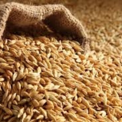 Grain
