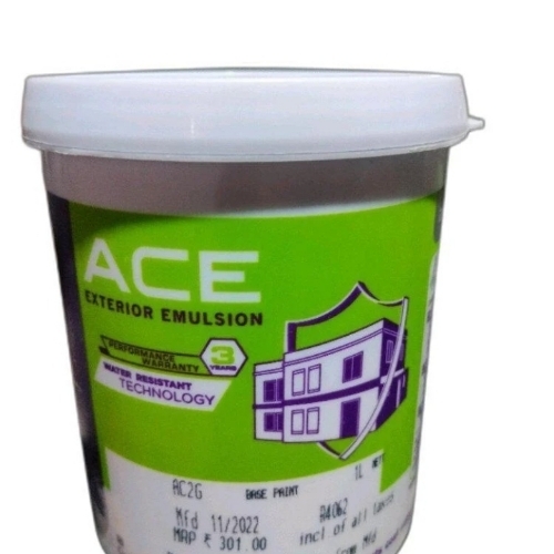 Asian Paints