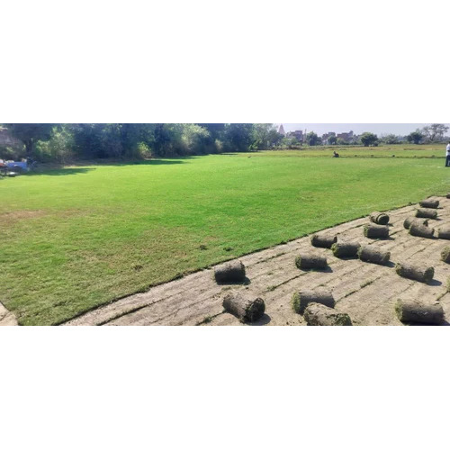 Green Natural Gardening Grass, 3 Feet