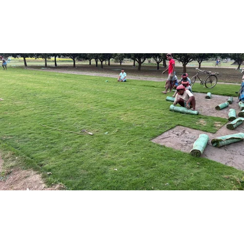 artificial lawn grass