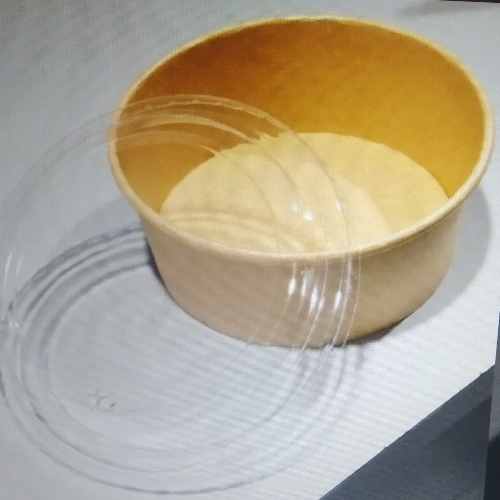 Disposable Paper Salad Bowl