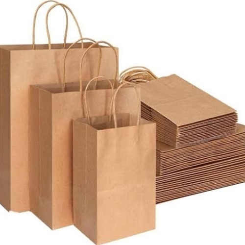 Paper Carry Bags