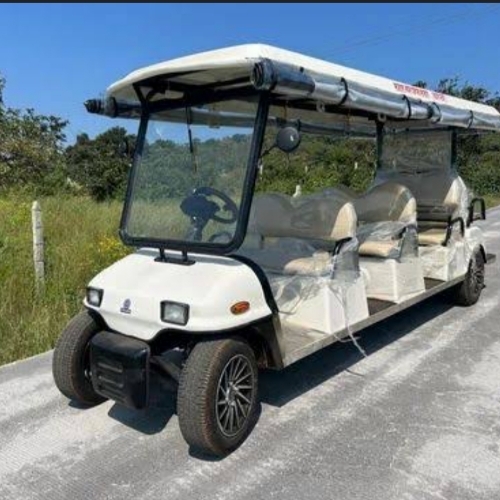 Electric Golfcart