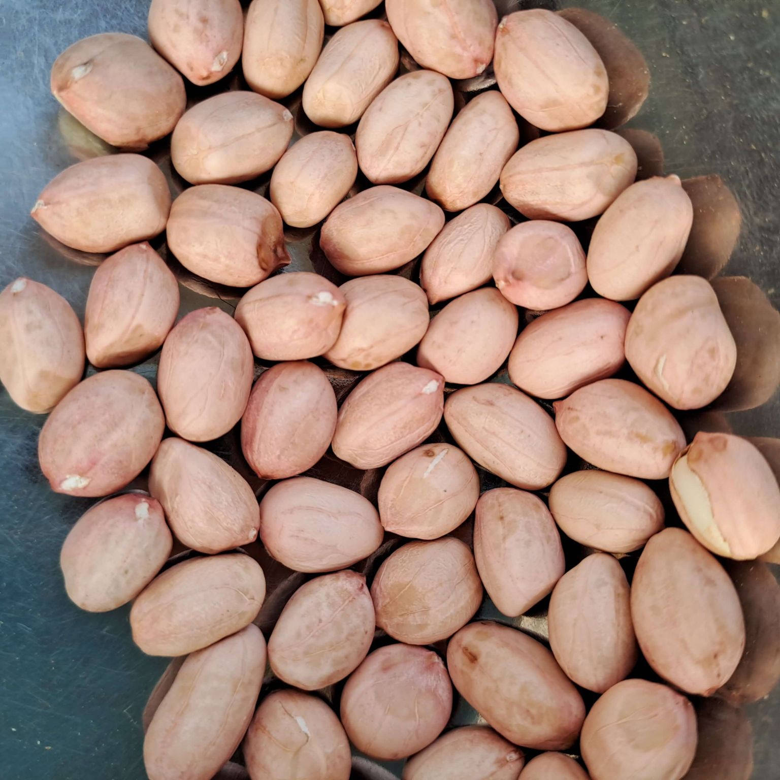 Raw Groundnut Kernels