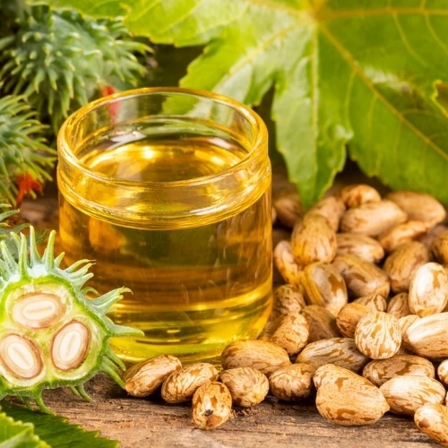 Natural Castor Seed Oil