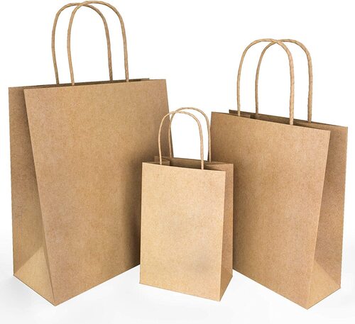 Paper Bags - Feature: Disposable