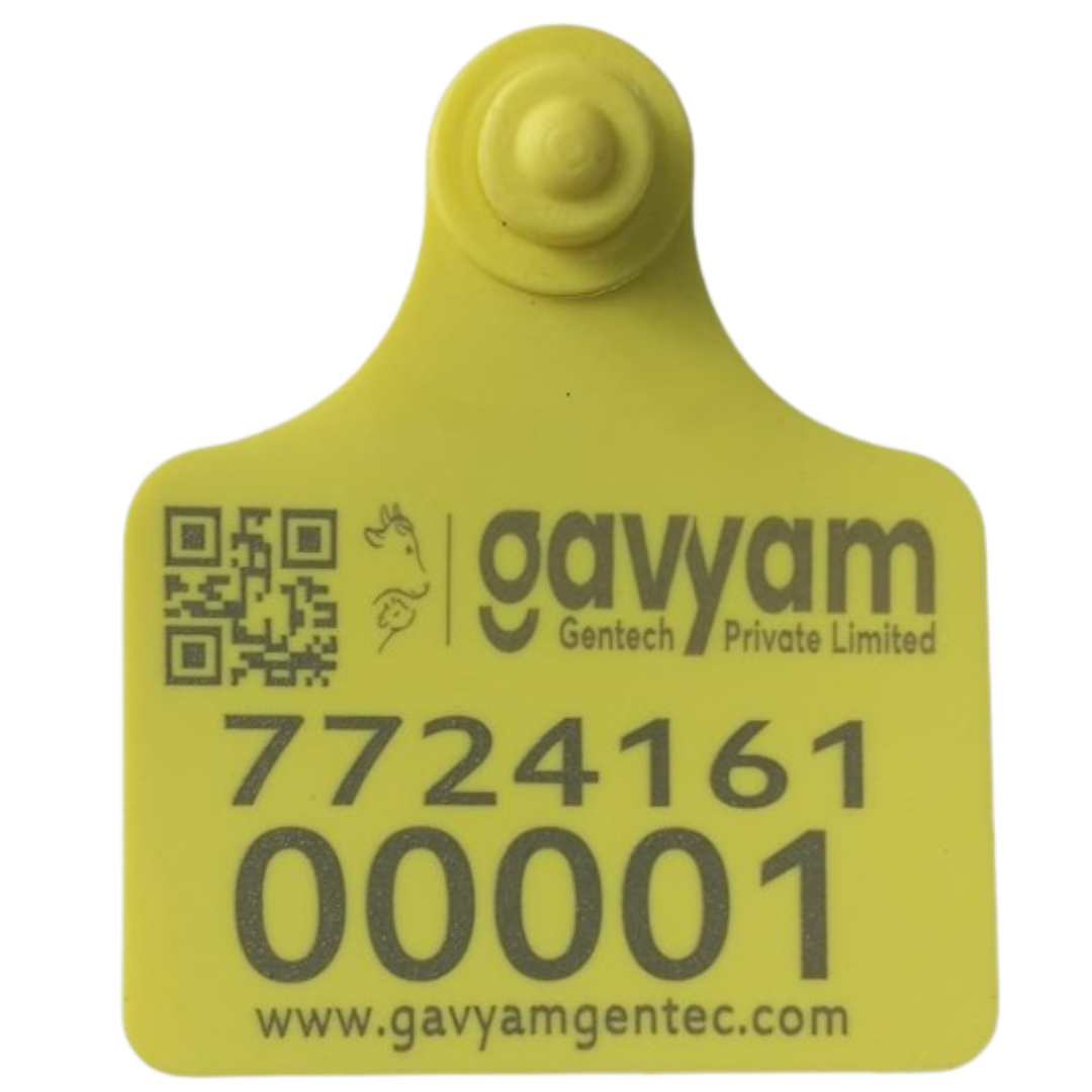 RFID tags for livestock