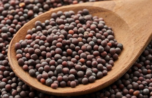 BLACK MUSTARD SEEDS 