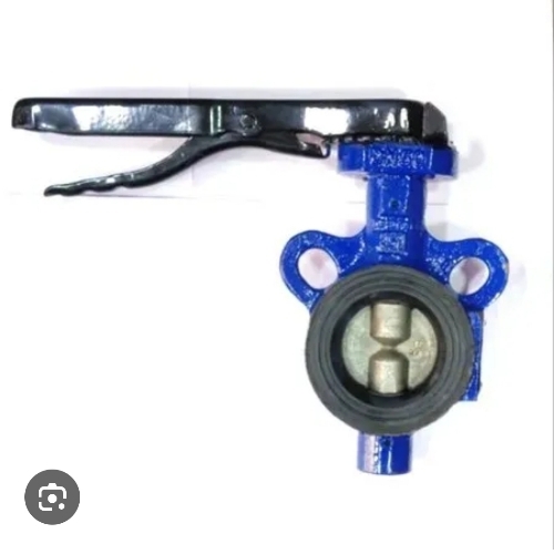 Butterfly Ball Valve