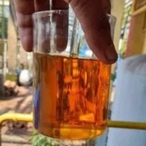 Cashew Nut Shell Liquid