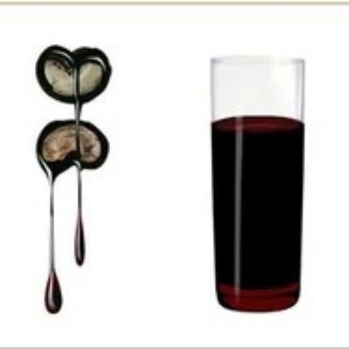 Cashew Nut Shell Oil