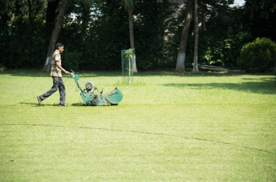 Landscape contractors in Porvorim