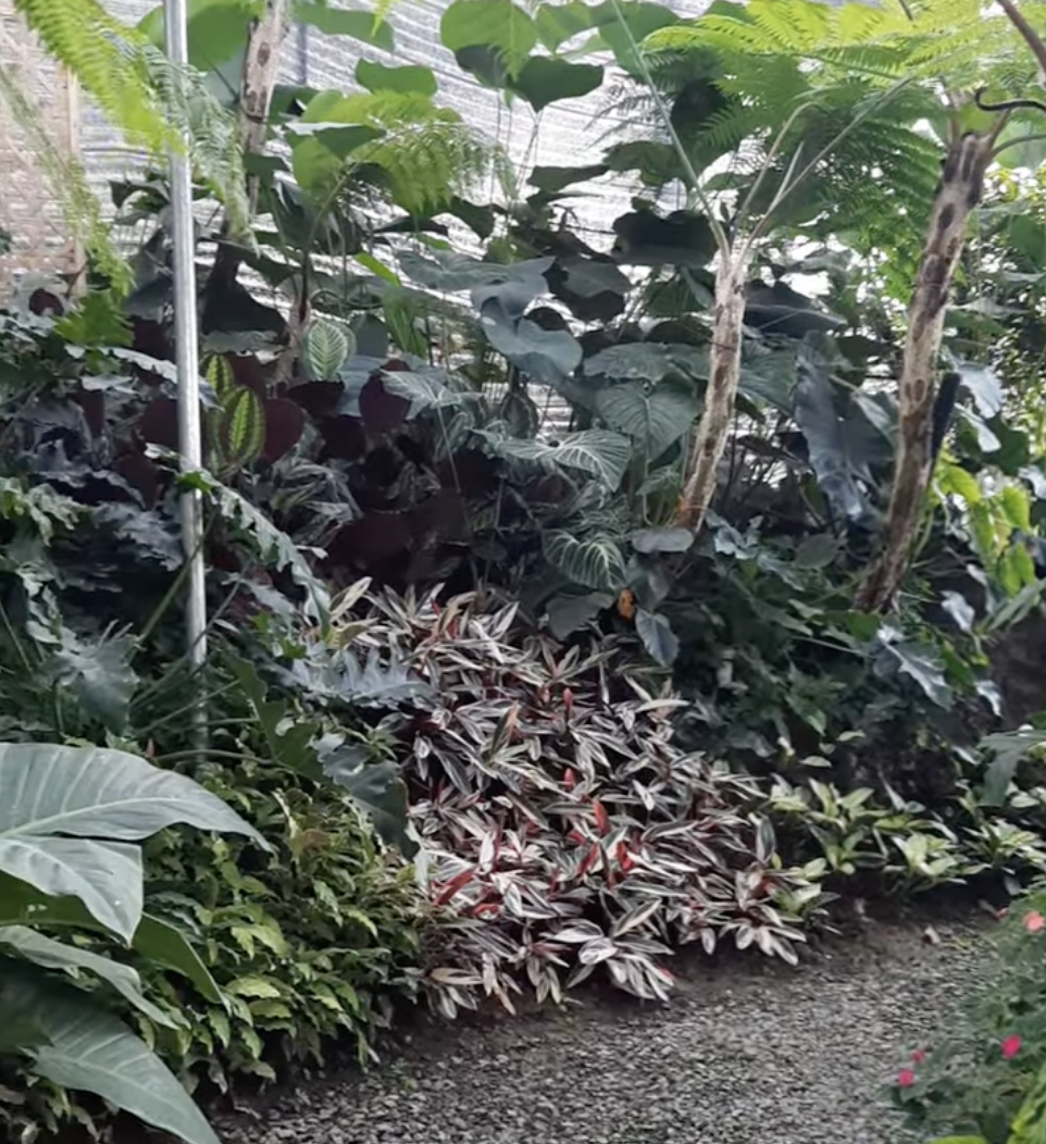 Landscapers in Vasco da Gama