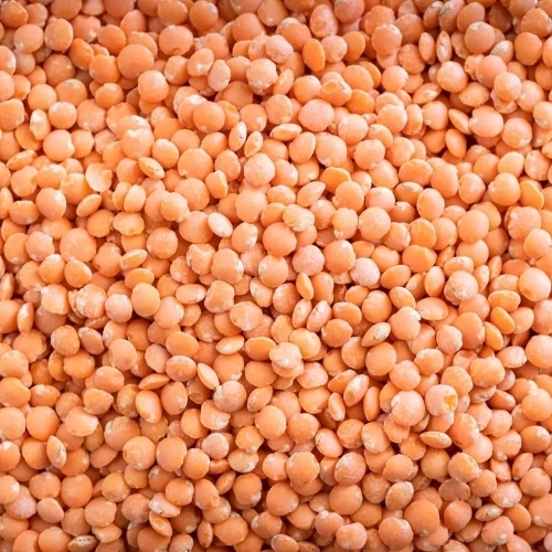 Masoor Dal