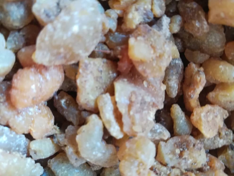 Asafoetida (Hing)