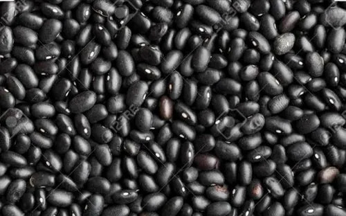 Black Beans