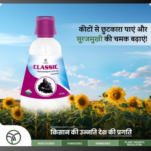 Classic Insecticide