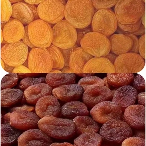 Dried Apricots - Grade: A