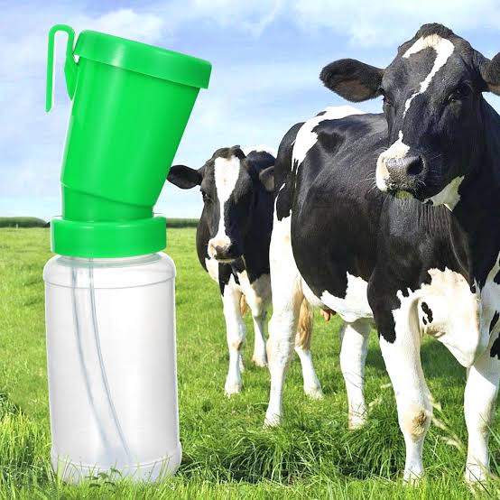 Dairy Equipment Cow Teat Dip Cup - Color: White