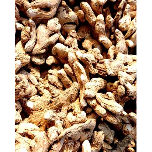 Dried Ginger Finger