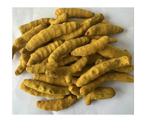 organic turmeric finger