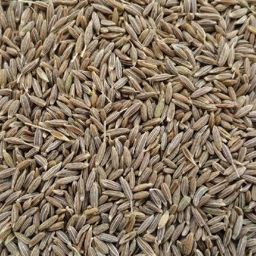 Jeera Cumin Seed