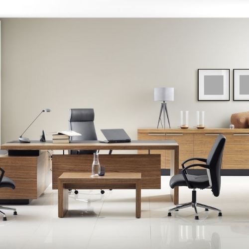 Plywood Modern Office Furniture
