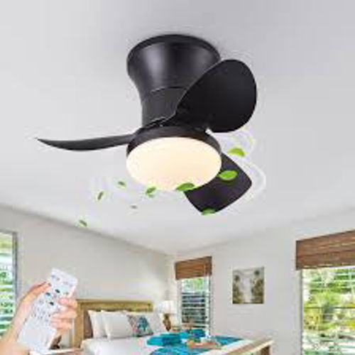 Fan 