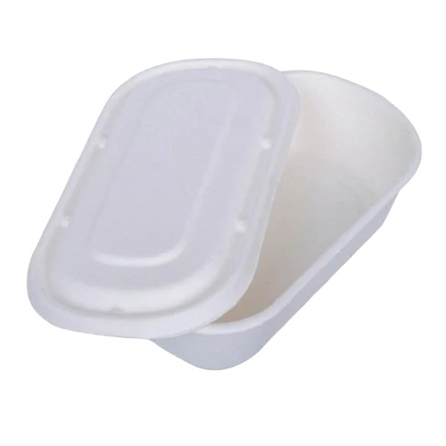 Biodegradable Food Container
