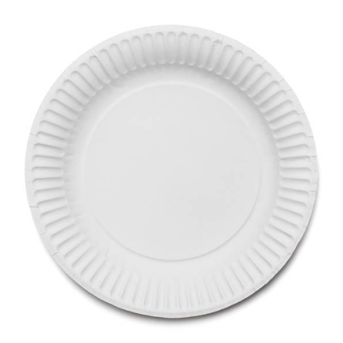 Disposable Plates