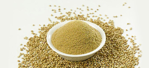 Coriander Seeds - Color: Green